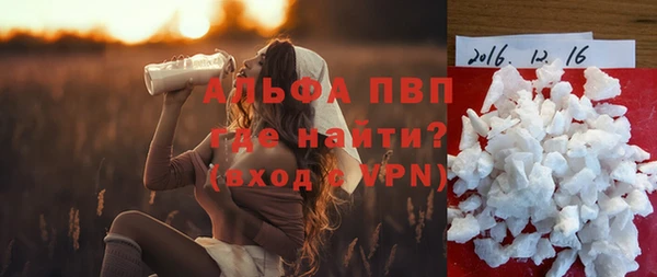 твердый Долгопрудный