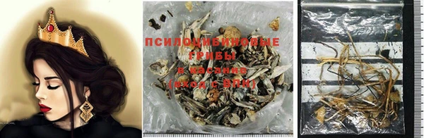 таблы Магас