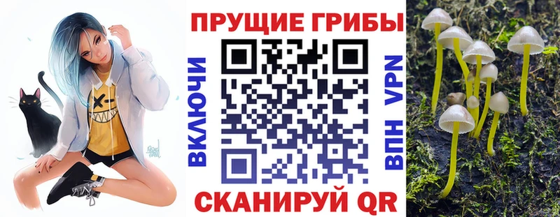 Галлюциногенные грибы MAGIC MUSHROOMS  где найти наркотики  Комсомольск-на-Амуре 