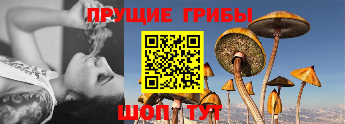 Галлюциногенные грибы мухоморы Комсомольск-на-Амуре